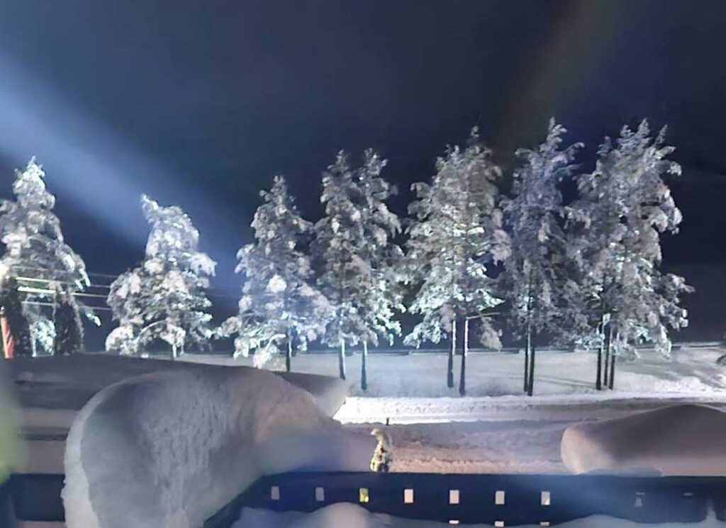 Vakert bilde ved Sigernes Camping utenfor Kongsvinger