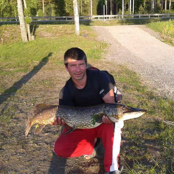 Gjeddefiske ved Sigernesjøen Camping utenfor Kongsvinger i Innlandet